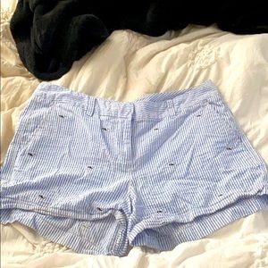 vineyard vines shorts